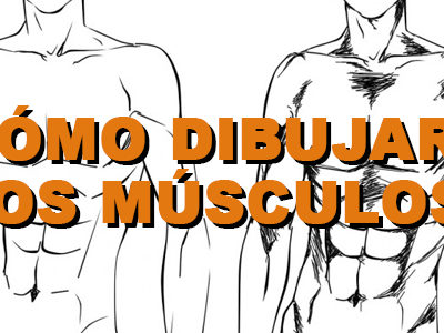 ¿Cómo dibujar los músculos? (Manga)
