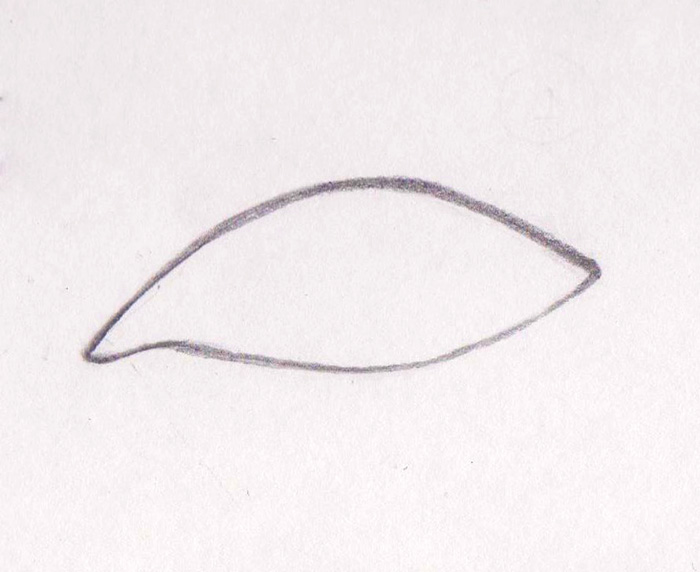 Dibujando ojos de personas animadas