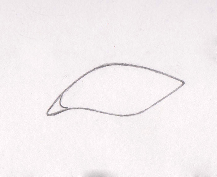 Dibujando ojos de personas animadas