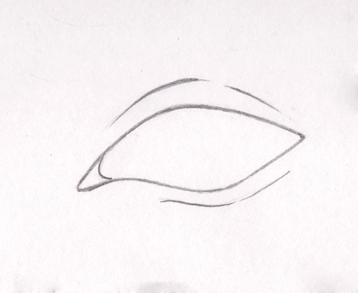 Dibujando ojos de personas animadas