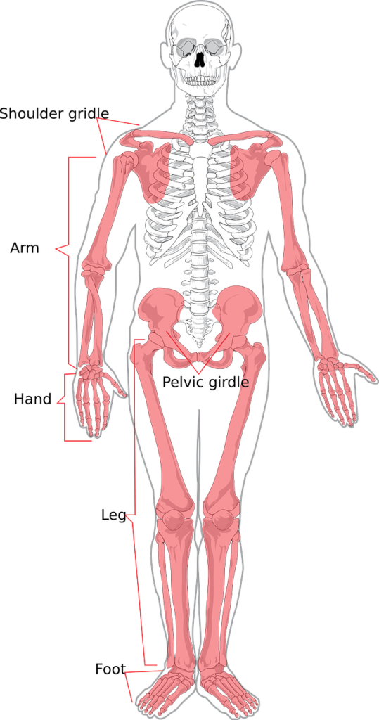 7 consejos de oro para empezar a dibujar mejor