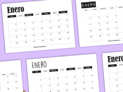 Calendario organizador 2021 (Modelos diferentes)