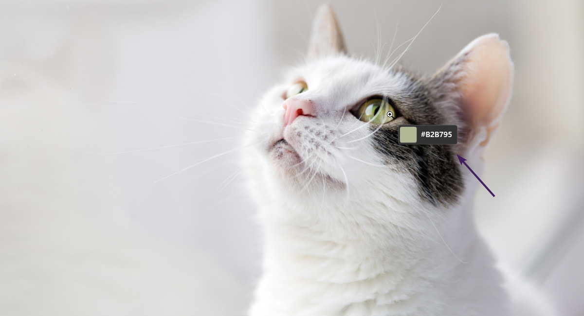 Como saber que colores usa una web o imagen con Powertoys